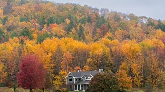 Fall Foliage in New Hampshire: A Region-by-Region Guide (Live in New Hampshire)